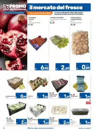 Volantino ARCA C+C cash and carry Pagina 2: Ananas €1,25, Lattuga Trocadero €2,10