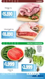 Catálogo La Anonima Página 2: Lechuga hidropónica Francesa/Mantecosa envasada €2.999,00