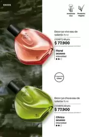 Catálogo Natura Página 111