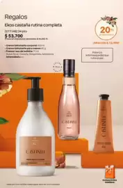 Catálogo Natura Página 17