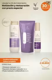 Catálogo Natura Página 259: Natura lumina matizacion y restauracion €30.800,00