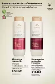 Catálogo Natura Página 262: Natura lumina shampoo reestructurante €13.400,00