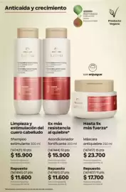 Catálogo Natura Página 275