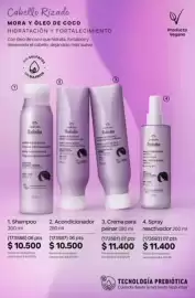 Catálogo Natura Página 289: Natura spray reactivador €11.400,00, Colores tododia crema para peinar €11.400,00