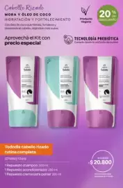 Catálogo Natura Página 290: Tododia cabello rizado rutina completa €20.800,00