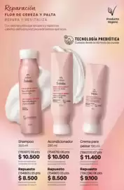 Catálogo Natura Página 291: Evobaro tododia shampoo €10.500,00, Nobuo tododia acondicionador €10.500,00