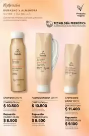 Catálogo Natura Página 293: Natura tododia shampoo €10.500,00, Natura acondicionador €10.500,00