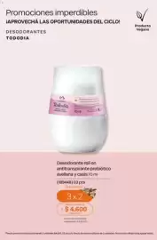 Catálogo Natura Página 43