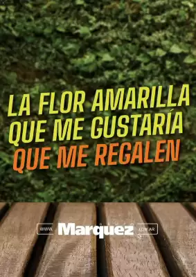 Grupo Marquez (válido hasta 31-10)