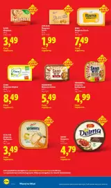 Lidl gazetka Strona 18