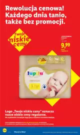 Lidl gazetka Strona 32
