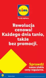 Lidl gazetka Strona 8