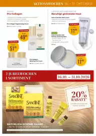 Martin Reformstark Flugblatt Seite 19