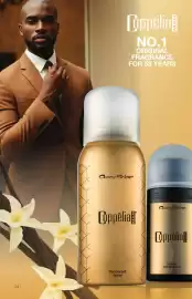 Avroy Shlain catalogue Page 24