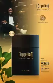 Avroy Shlain catalogue Page 26