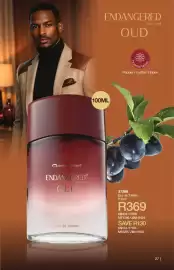 Avroy Shlain catalogue Page 27