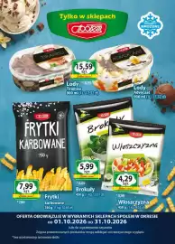 Społem gazetka | WSS Srodmiescie Strona 7: Frytki Społem €7,99