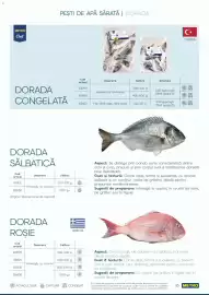 Catalog Metro Pagină 16