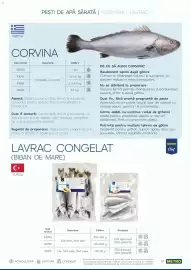 Catalog Metro Pagină 17