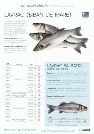 Catalog Metro Pagină 18