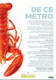 Catalog Metro Pagină 2