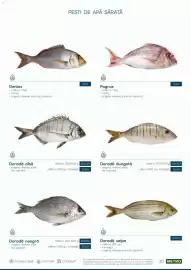 Catalog Metro Pagină 20