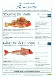Catalog Metro Pagină 24