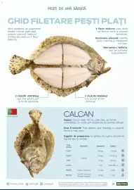 Catalog Metro Pagină 26