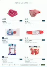 Catalog Metro Pagină 33