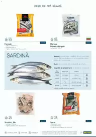 Catalog Metro Pagină 37
