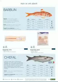 Catalog Metro Pagină 39