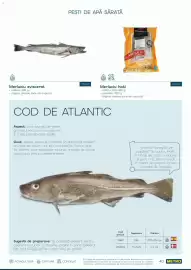 Catalog Metro Pagină 40