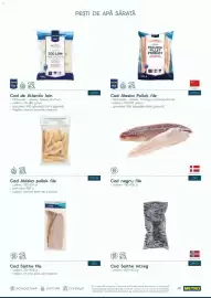 Catalog Metro Pagină 41