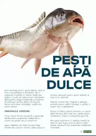 Catalog Metro Pagină 42