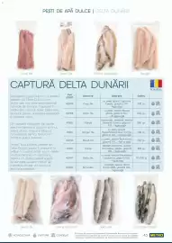 Catalog Metro Pagină 43
