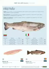 Catalog Metro Pagină 44