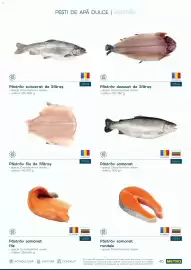 Catalog Metro Pagină 45