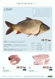 Catalog Metro Pagină 47