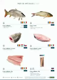 Catalog Metro Pagină 48