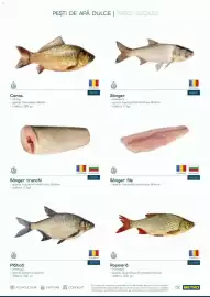 Catalog Metro Pagină 52