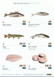 Catalog Metro Pagină 53