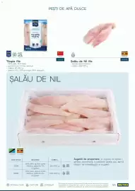Catalog Metro Pagină 55