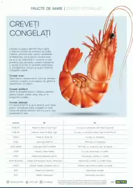 Catalog Metro Pagină 60