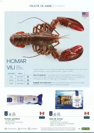 Catalog Metro Pagină 65