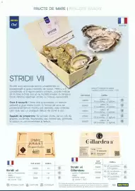 Catalog Metro Pagină 66