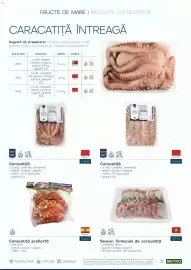 Catalog Metro Pagină 72