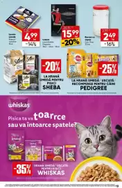 Catalog PROFI săptămâna 40 Pagină 13: Laura Baldini Colant Elegante €15,99, Casi Plast Borcan cu capac €2,49