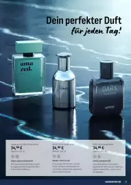 Prowin Katalog Seite 17