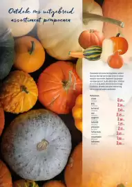 Horeca totaal folder Pagina 5: Ontdek ons uitgebreid assortiment pompoenen Pompoenen zijn echte herfstgroenten, perfect dus