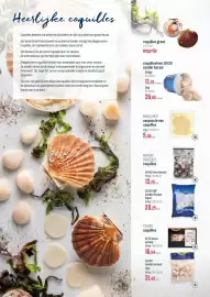 Horeca totaal folder Pagina 7: Heerlijke coquilles Coquilles behoren tot de echte klassiekers en zijn dus altijd een goede